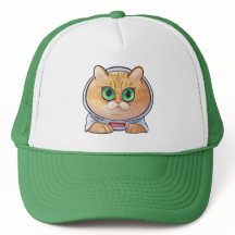 Hosico Cartoon