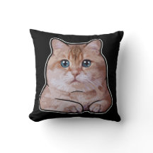 Hosico