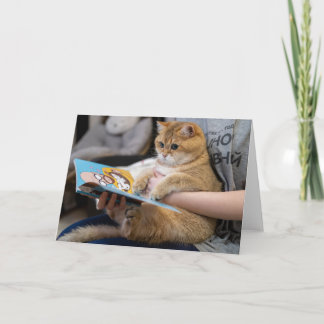Hosico liest ein Buch Karte