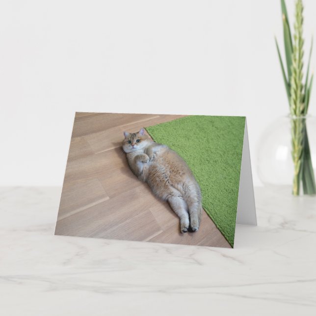 Hosico niedlich cat karte (Vorderseite)