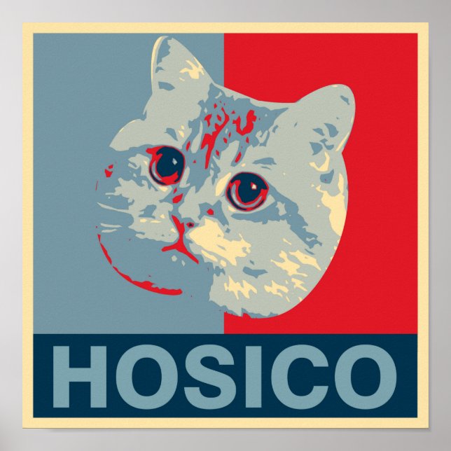 Hosico - Red Blue Illustration Poster (Vorne)