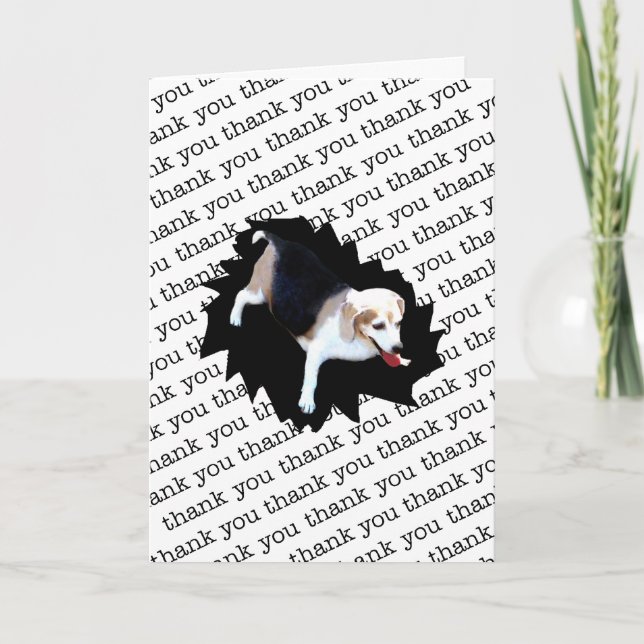 HOSPITALITÉ Merci #2 (Devant)