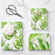 'Hosta avec le Mosta' Jeu de papier d'enveloppemen