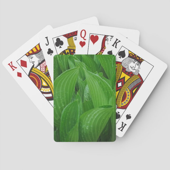 Hosta Blätter mit Raindrops Kartenspielen Spielkarten (Rückseite)