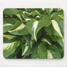 Hosta-Blätter Mousepad
