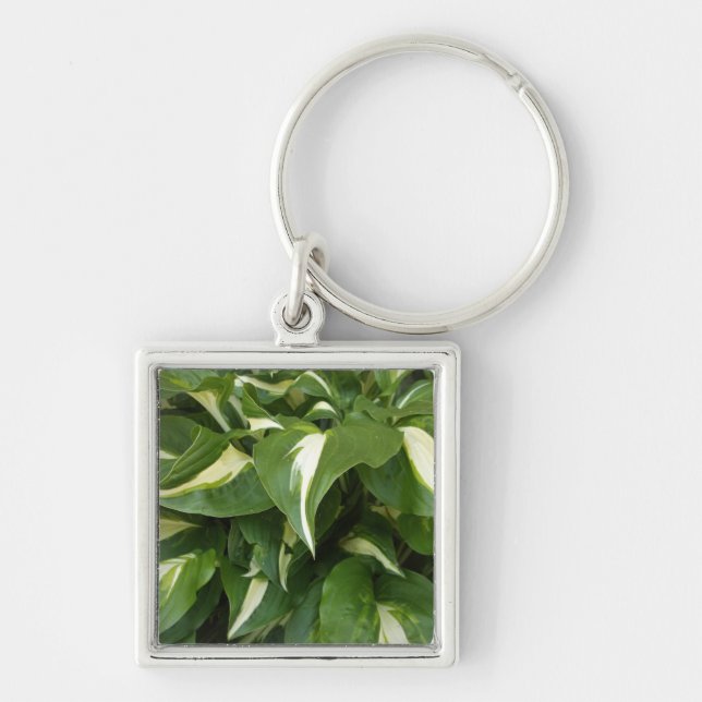 Hosta-Blätter Schlüsselanhänger (Vorne)