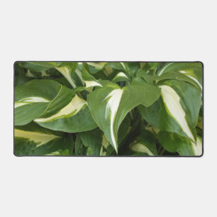 Hosta-Blätter Schreibtischunterlage