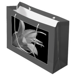 Hosta Blume Black & White Elegante Klassische Flor Große Geschenktüte