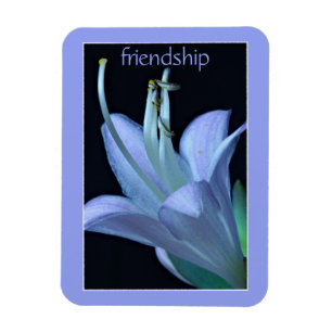 Hosta Blume Verziert Lavender Friendship Magnet