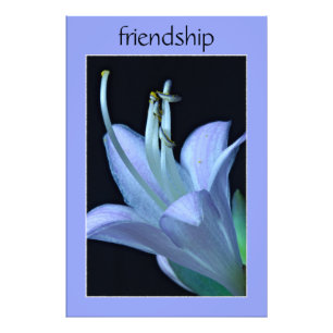 Hosta Blume Verziert Lila Freundschaft Foto Print