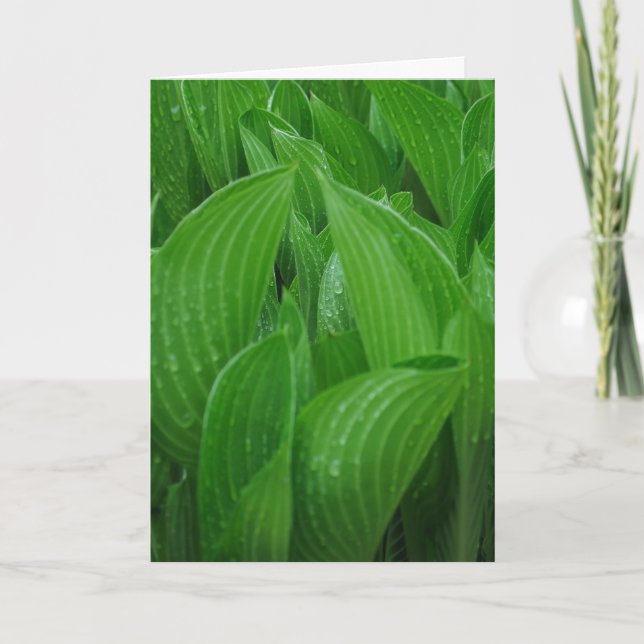 Hosta Feuilles avec Raindrops carte d'anniversaire (Devant)