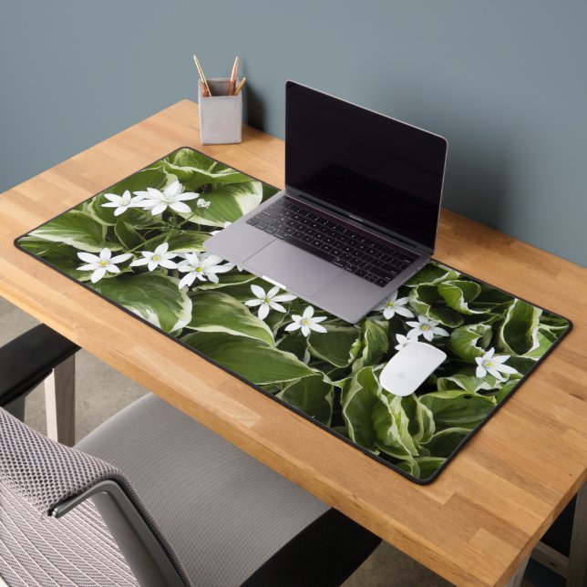 Hosta Feuilles et blanc Ornithogalum Floral (Bureau 2)