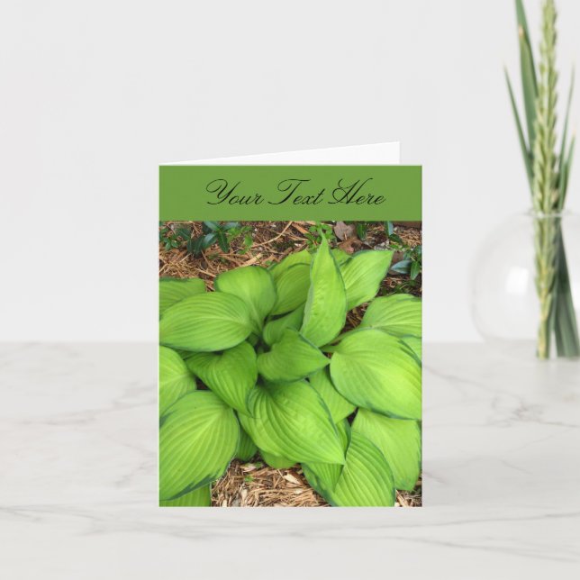 Hosta Green Blätter Grußkarte Karte (Vorderseite)