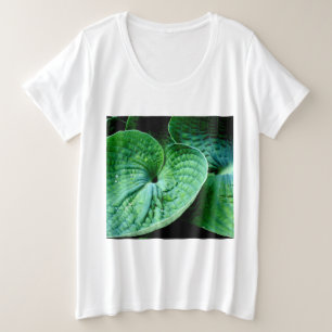 Hosta Heart
