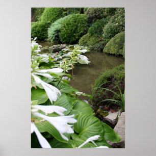 Hosta in einem Zen-Garten Poster