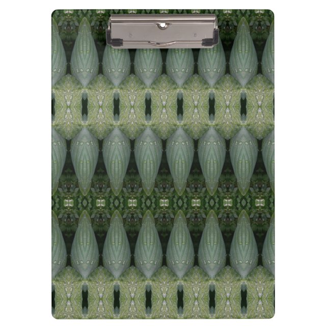 Hosta La Vista zu 12 Klemmbrett (Vorderseite)