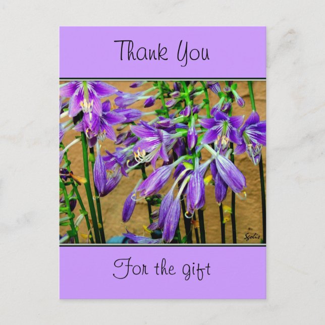 Hosta Lila Blumen Postkarte (Vorderseite)