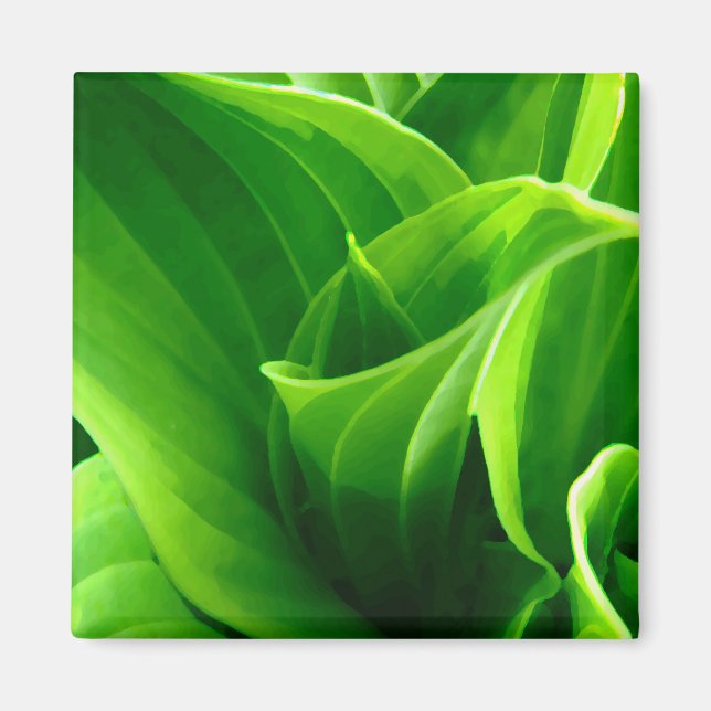 Hosta Magnet (Vorne)