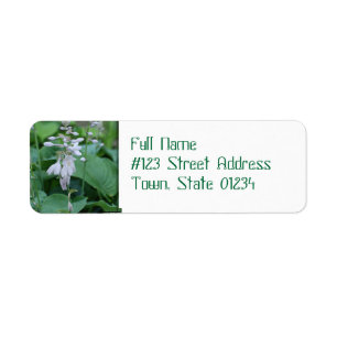 Hosta-Pflanzen-Rücksendeadressemailings-Aufkleber