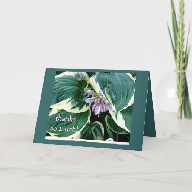 Hosta Thank you card Dankeskarte (Vorderseite)