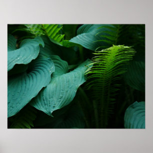 Hosta und Fern Poster