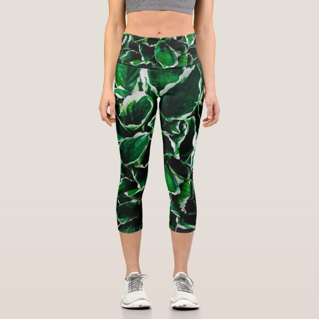 Hosta undulata lebhafte grüne Pflanze Blätter Capri Leggings (Vorderseite)