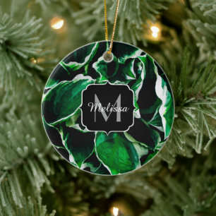 Hosta undulata lebhafte grüne Pflanze Blätter Mono Keramik Ornament