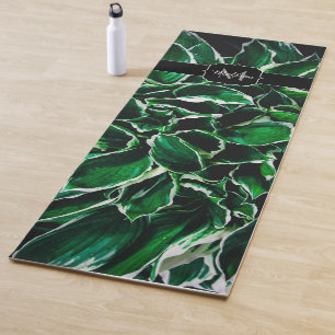 Hosta undulata lebhafte grüne Pflanze Blätter Mono Yogamatte