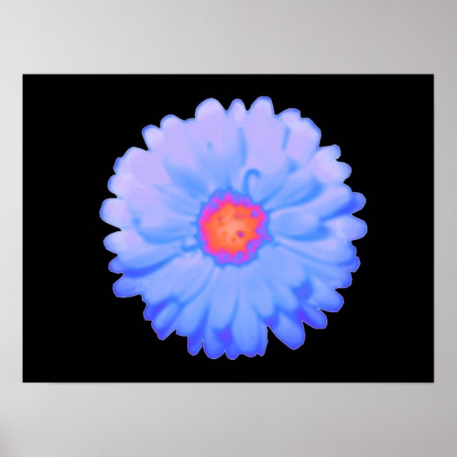 Hot and Cold Marigold Poster (Vorne)
