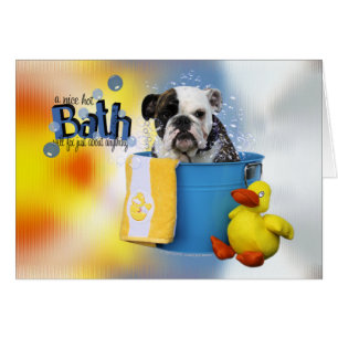 Hot Bath - English Bulldog - Delilah