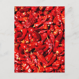Hot Chili.jpg Postkarte