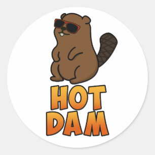 Hot Dam Funny Cool Beaver Pub Runder Aufkleber