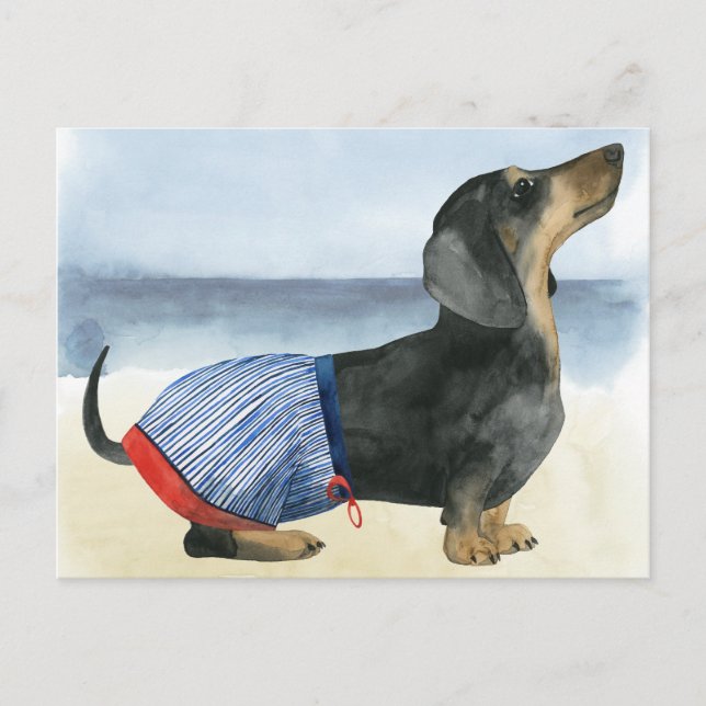 Hot Dog | Welpe im Schwimmbecken Postkarte (Vorderseite)