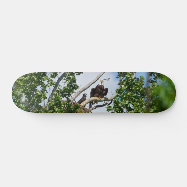 Hot Eagles Skateboard (Horizontal)