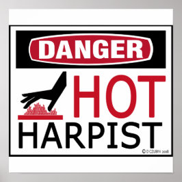Hot Harpist Poster