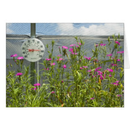 Hot House Kinderzimmer Card