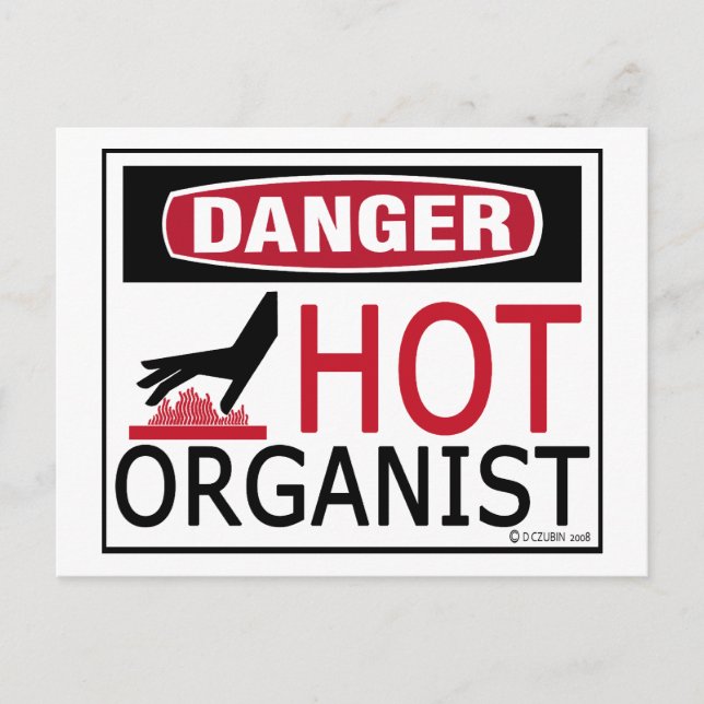Hot Organist Postkarte (Vorderseite)