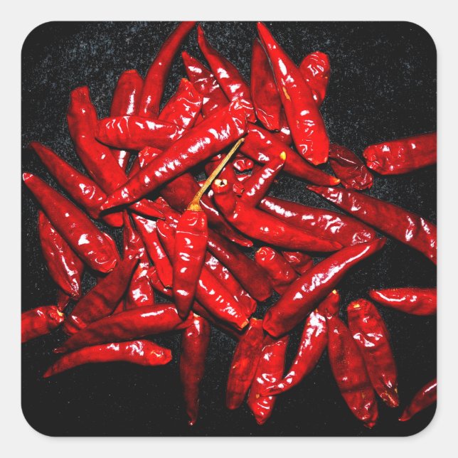 Hot Pepper - Stillleben Quadratischer Aufkleber (Vorderseite)