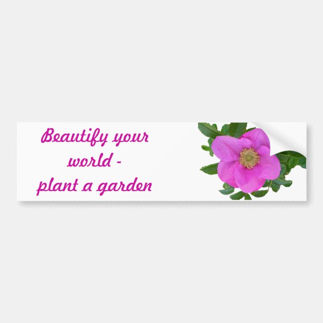 Hot Pink Beach Rose Coordinating Items Autoaufkleber (Vorne)