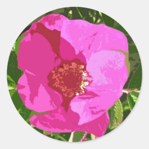 Hot Pink Beach Rose Digital Art Sticker
