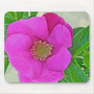 Hot Pink Beach Rose passende Artikel Mousepad