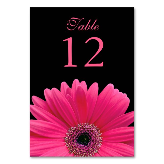Hot Pink Black Gerber Daisy Wedding Tischnummer (Vorderseite)