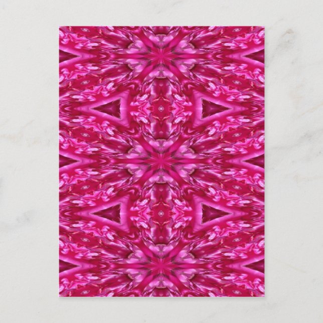 Hot Pink Cabbage Rose Kunst, Kultur Postkarte (Vorderseite)