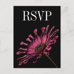 Hot Pink Fuchsia Daisy Wedding RSVP Postkarte