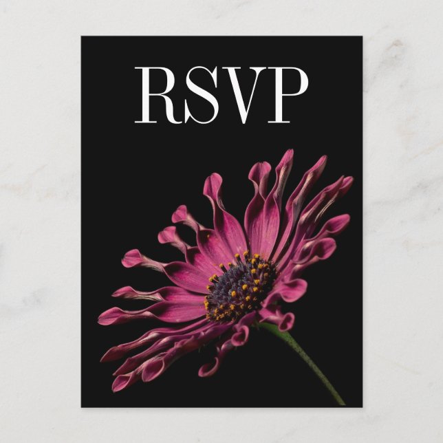 Hot Pink Fuchsia Daisy Wedding RSVP Postkarte (Vorderseite)