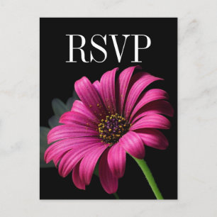 Hot Pink Gerber Daisy Wedding RSVP Postcard Einladungspostkarte