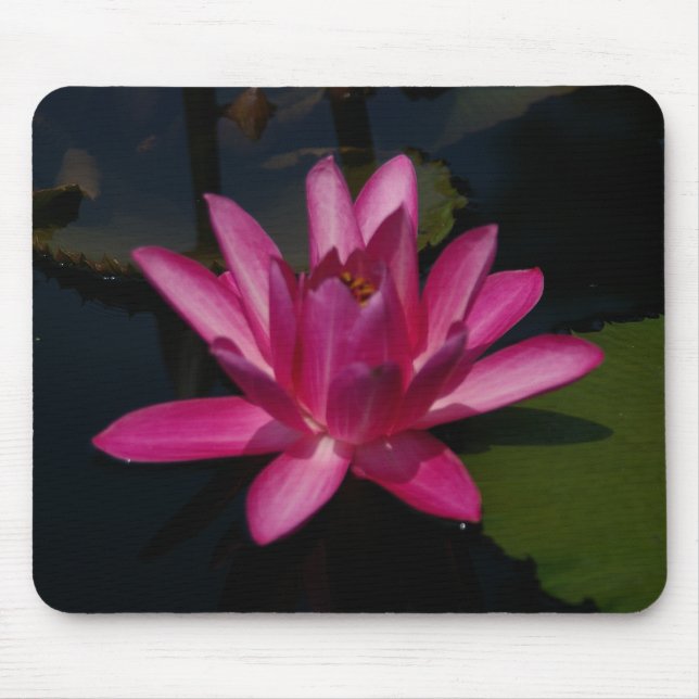 Hot Pink Lotus Wasserlilie Mouse pad Mousepad (Vorne)