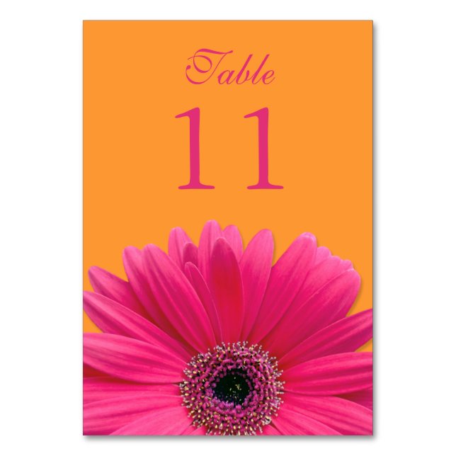 Hot Pink Orange Gerbera Daisy Wedding Tischnummer (Vorderseite)