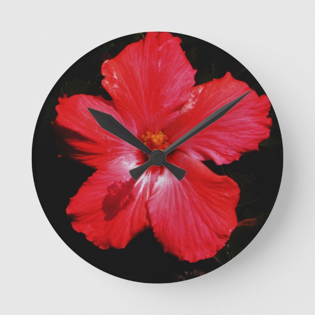 Hot Pink Red Hibiscus flower on Black Runde Wanduhr (Vorderseite)