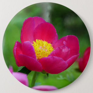 Hot Pink-Rose Button